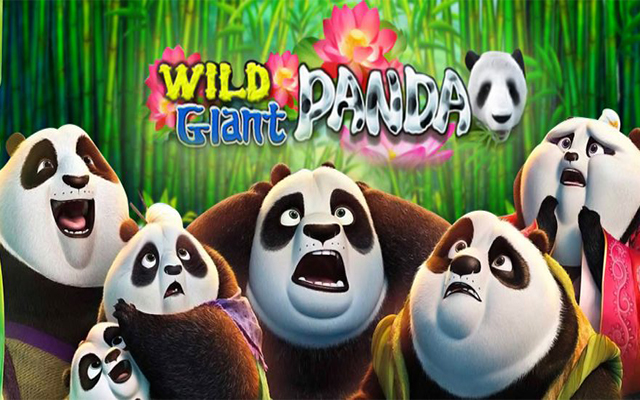 สล็อตแตกง่าย Wild Giant Panda
