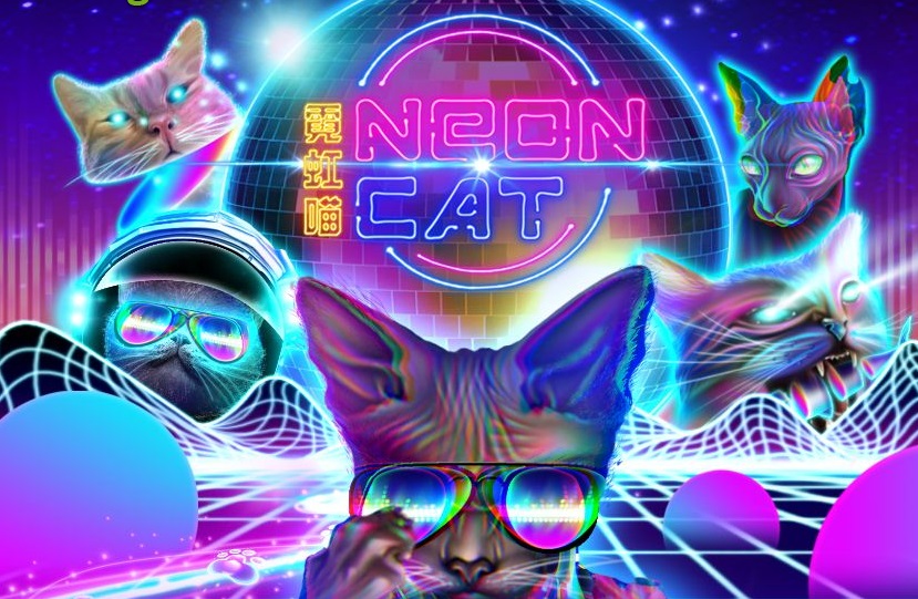 สล็อตโบนัสแตกหนัก ทดลองเล่นฟรี Neon Cat